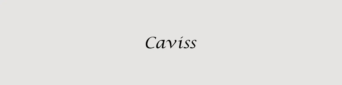 Caves de vinho Caviss